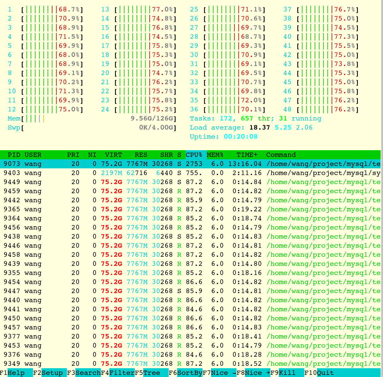 perf-htop.png